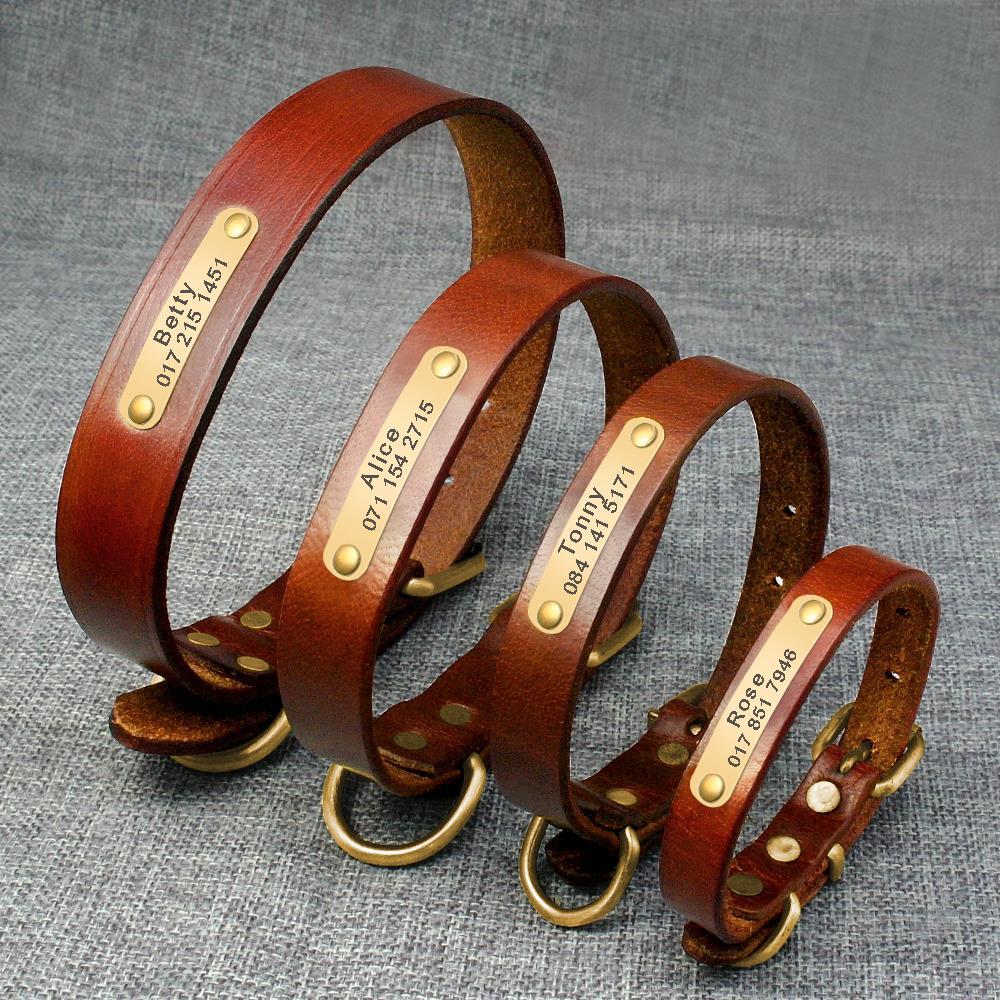 Personalized Dog ID Collar Genuine Leather - Shop The Deals