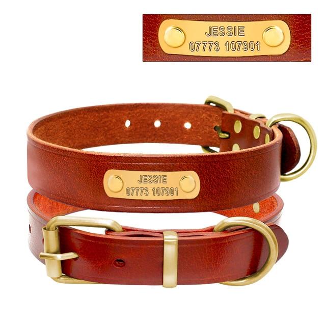 Personalized Dog ID Collar Genuine Leather - Shop The Deals